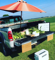 farm news - sweet corn sale